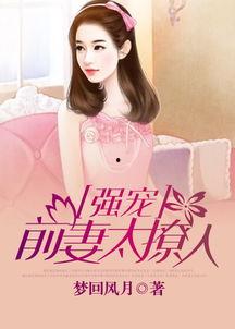 前妻撩人，容总他超爱,一段禁忌之恋的甜蜜纠葛